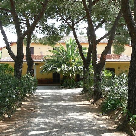 Podere Oslavia Az.Agr.Bio Giannini Alberese Zewnętrze zdjęcie