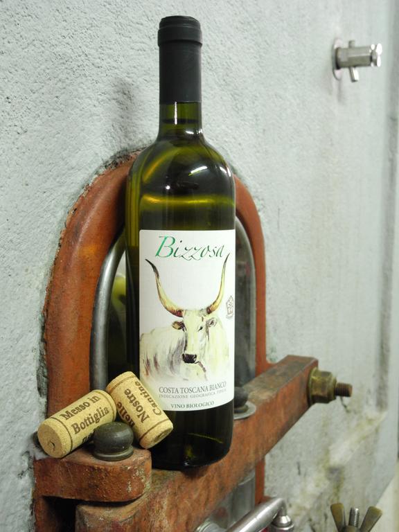 Podere Oslavia Az.Agr.Bio Giannini Alberese Zewnętrze zdjęcie
