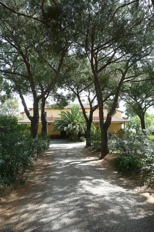 Podere Oslavia Az.Agr.Bio Giannini Alberese Zewnętrze zdjęcie