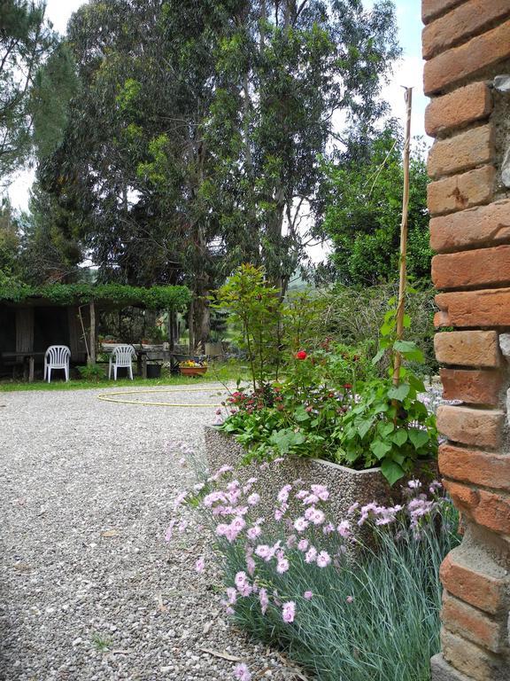 Podere Oslavia Az.Agr.Bio Giannini Alberese Zewnętrze zdjęcie
