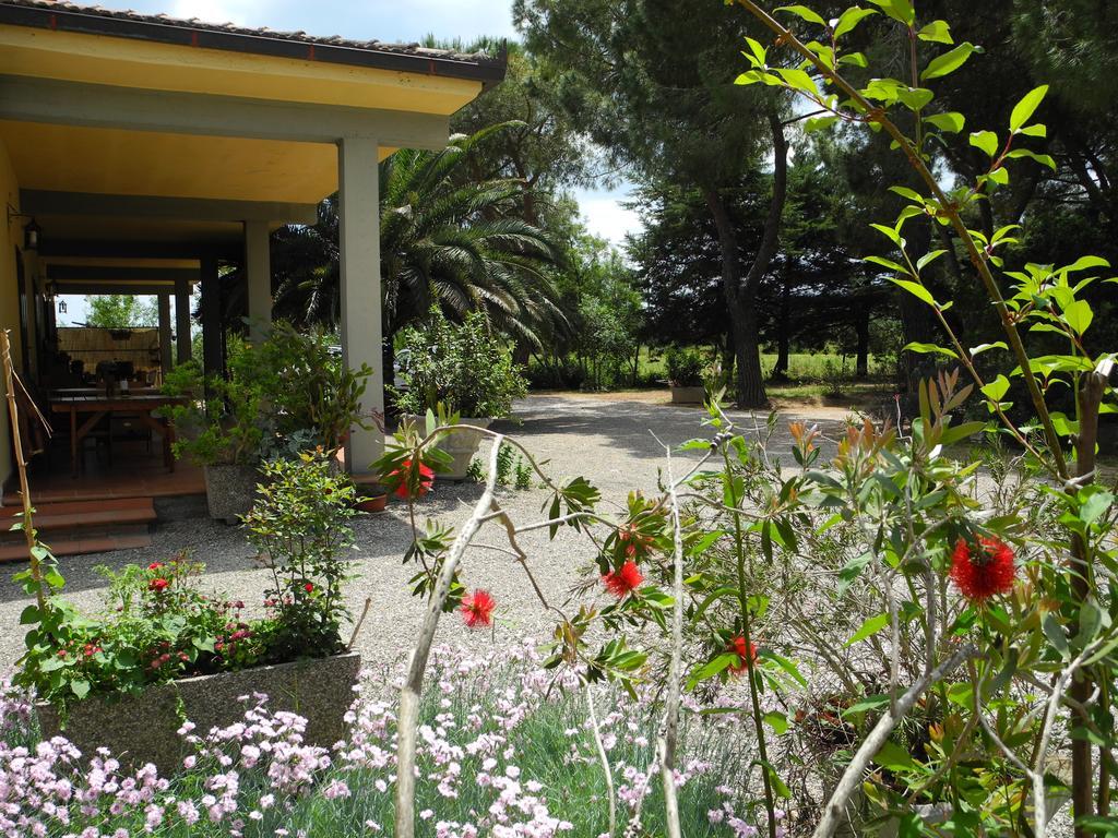 Podere Oslavia Az.Agr.Bio Giannini Alberese Zewnętrze zdjęcie