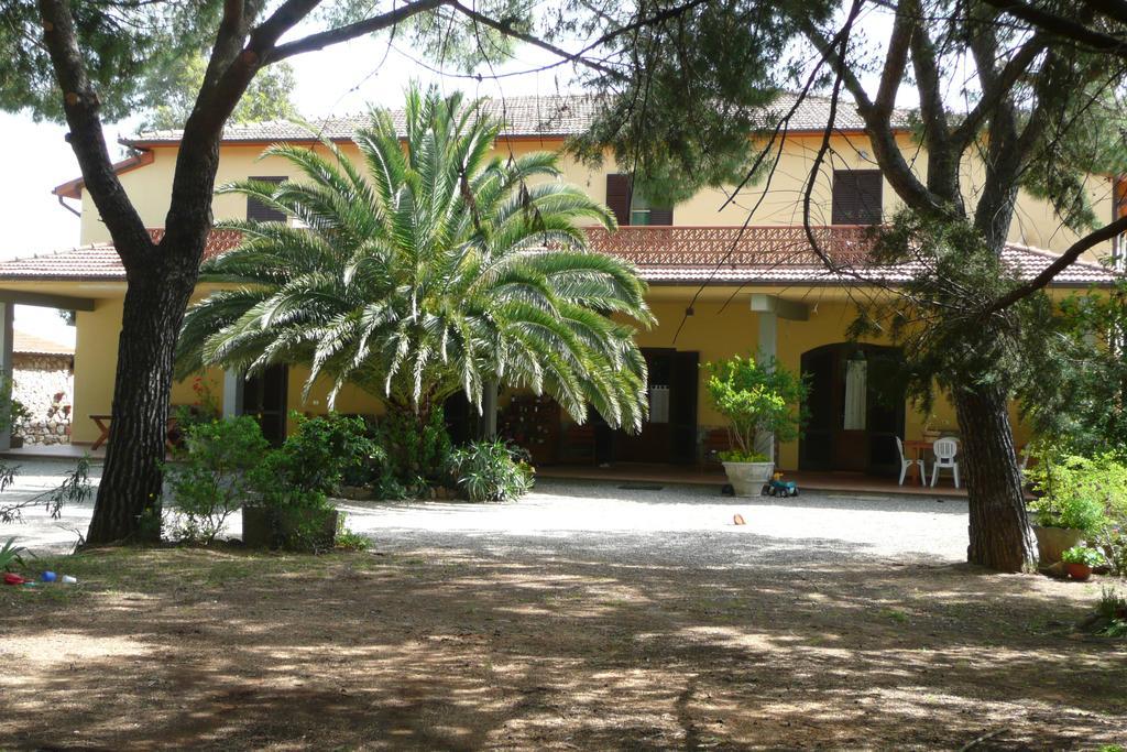 Podere Oslavia Az.Agr.Bio Giannini Alberese Zewnętrze zdjęcie